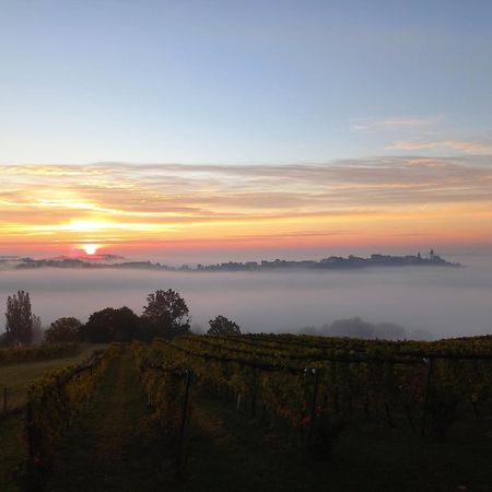 Winzerzimmer Scharl Sankt Anna am Aigen Buitenkant foto