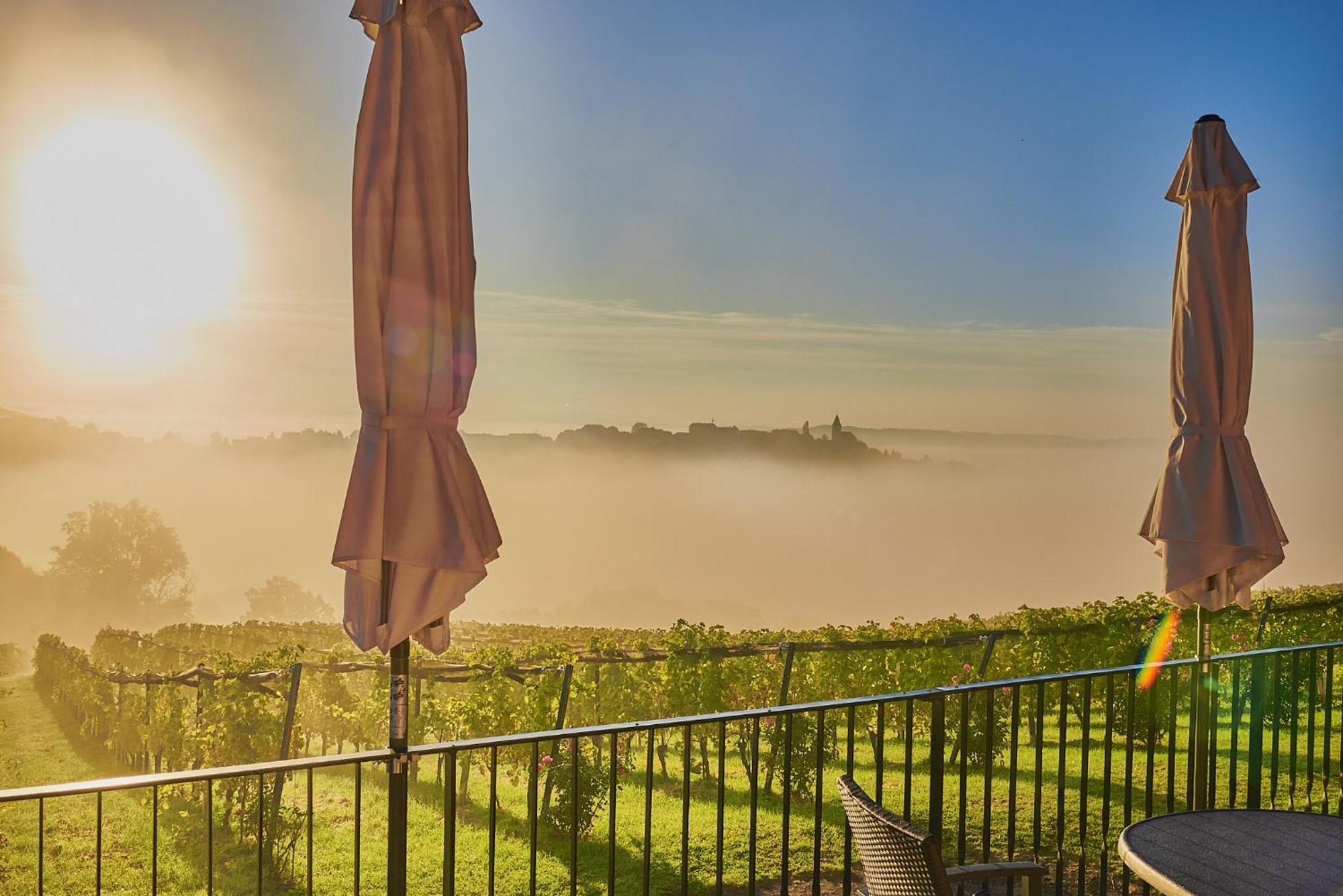 Winzerzimmer Scharl Sankt Anna am Aigen Buitenkant foto