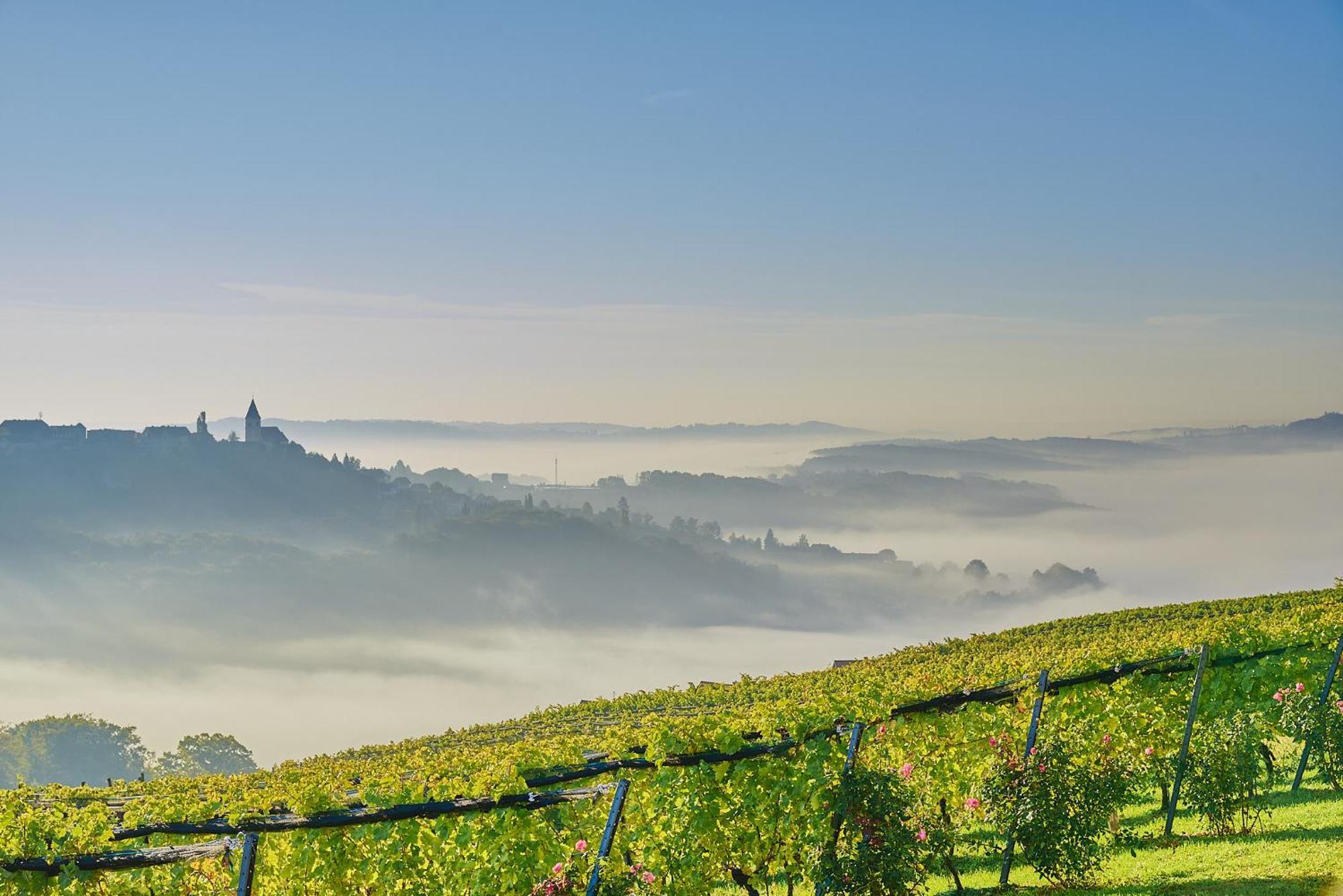 Winzerzimmer Scharl Sankt Anna am Aigen Buitenkant foto