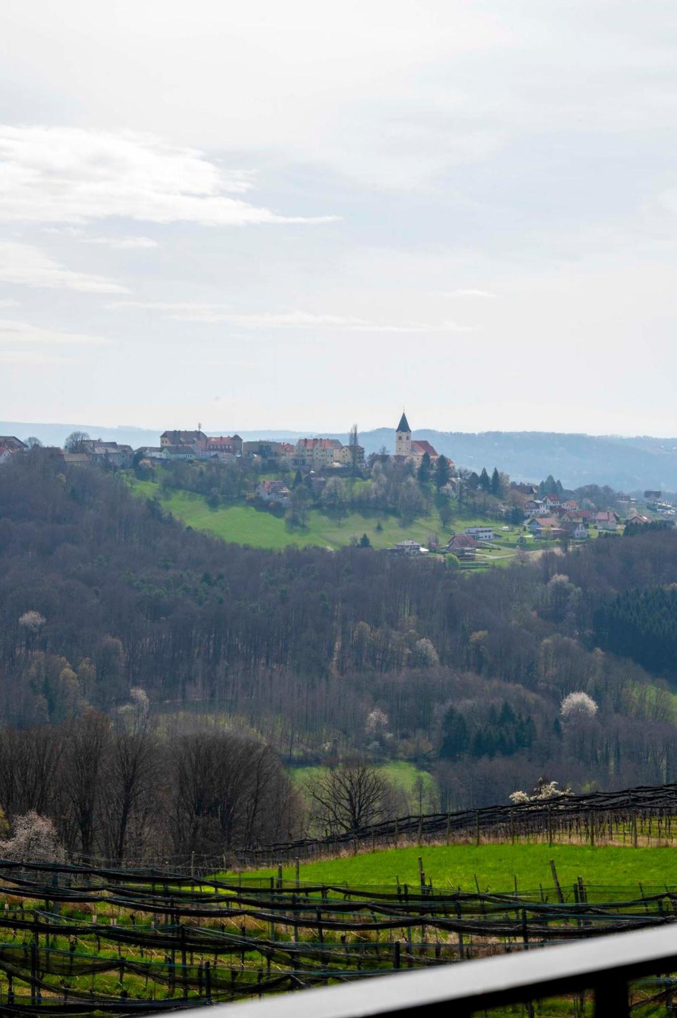 Winzerzimmer Scharl Sankt Anna am Aigen Buitenkant foto