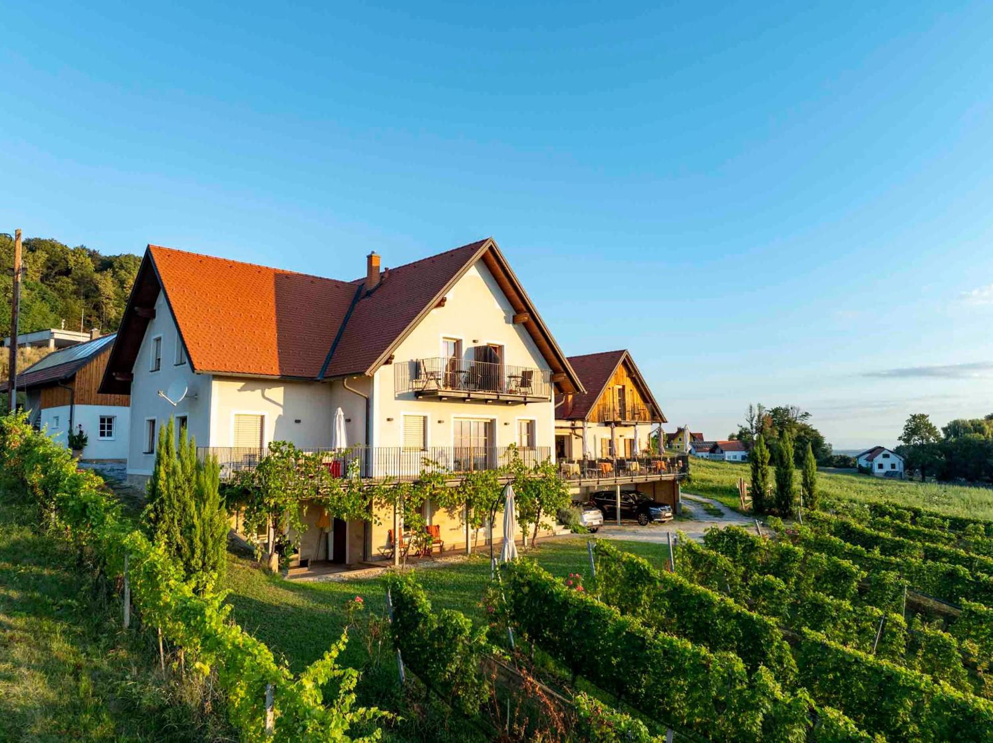 Winzerzimmer Scharl Sankt Anna am Aigen Buitenkant foto